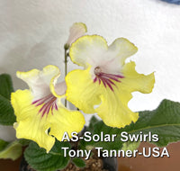 AS-SOLAR SWIRLS