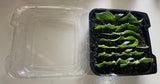 Propagation Trays